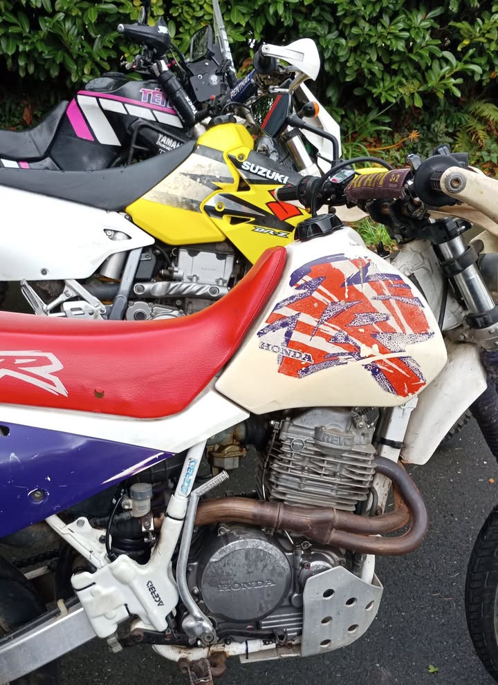 Les crampons sont de sortie 1 1631134508801862 - Landivisiau Finistère Les crampons sont de sortie 1 1631134508801862 - Landivisiau Finistère